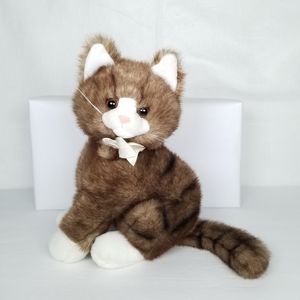 brown tabby cat teddy